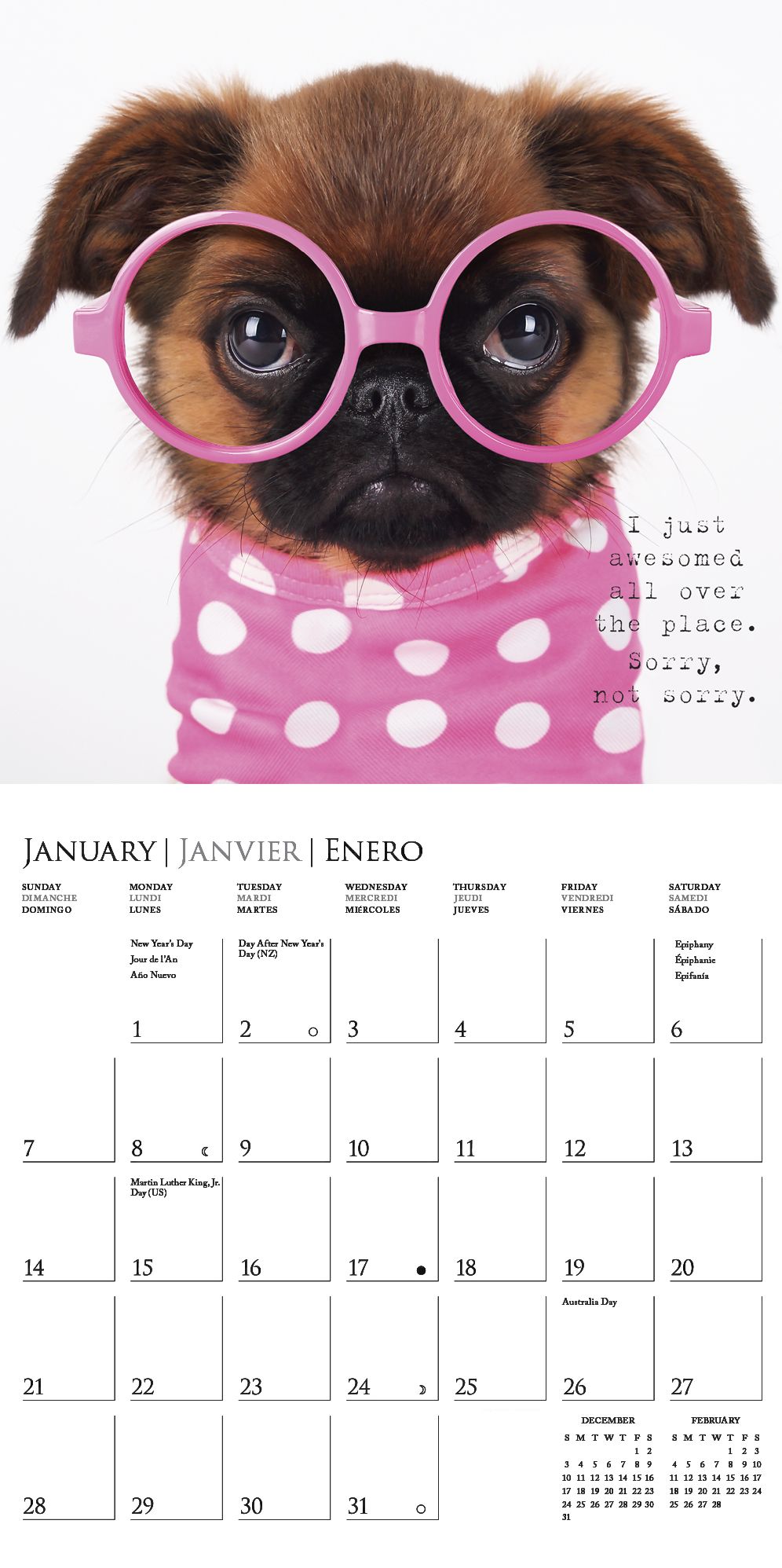 2018 Pawparazzi Square Wall Calendar