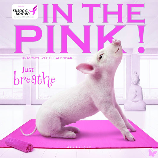 2018 In The Pink SGK! Mini Calendar