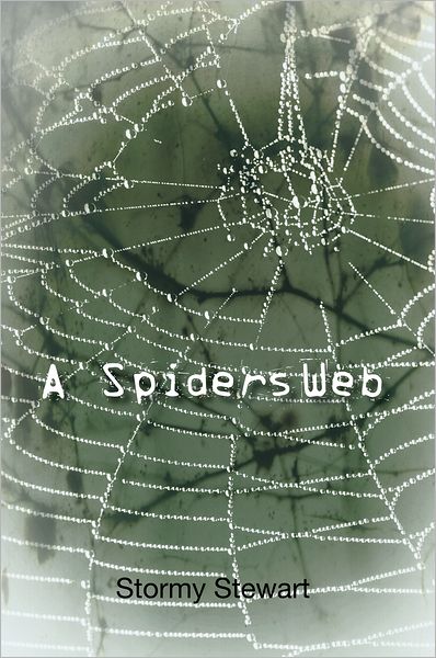 A Spiders Web