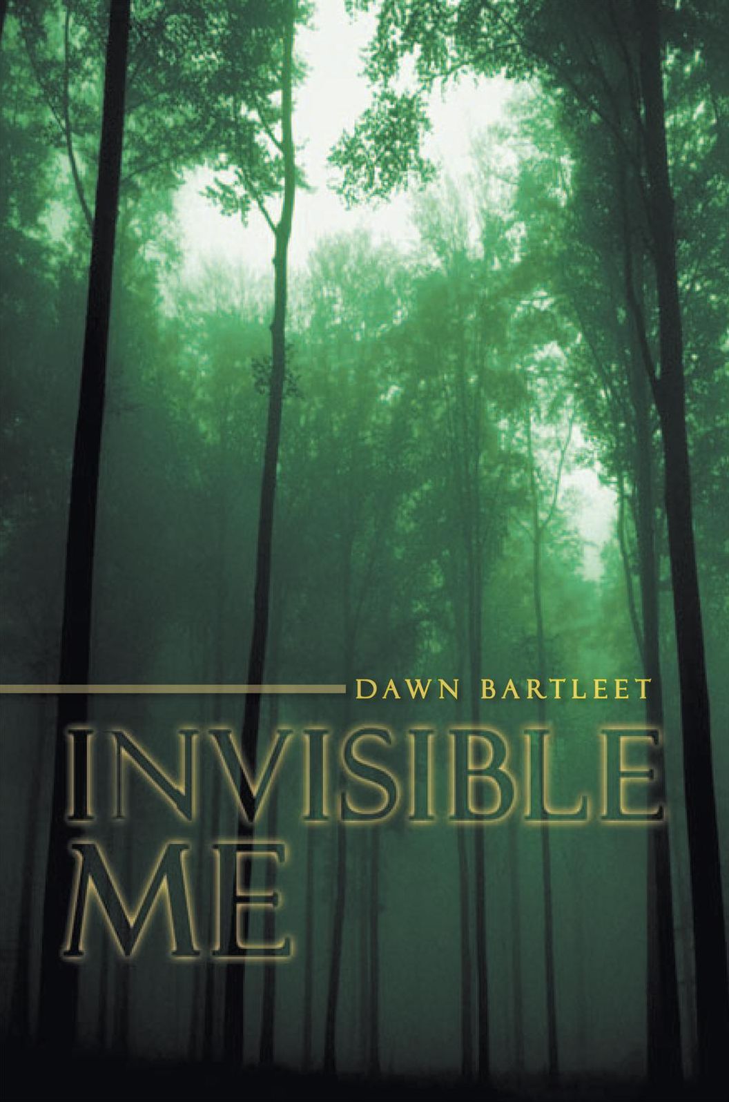 Invisible Me