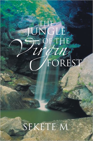 The Jungle of the Virgin Forest