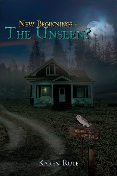 New Beginnings - The Unseen?