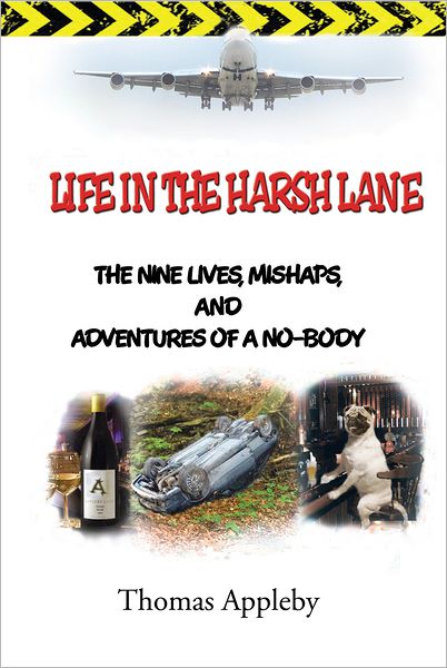LIFE IN THE HARSH LANE: The nine lives, mishaps, and adventures of a no-body