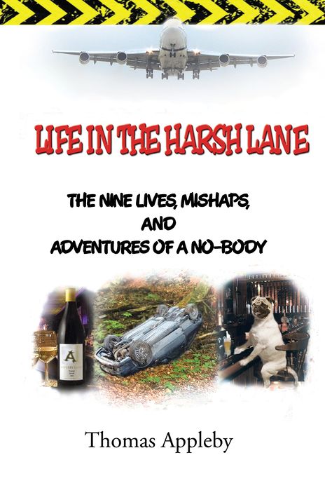 LIFE IN THE HARSH LANE: The nine lives, mishaps, and adventures of a no-body