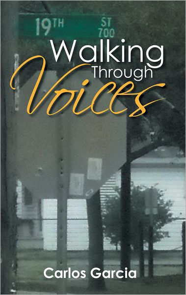 Walking Through Voices