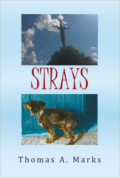 STRAYS