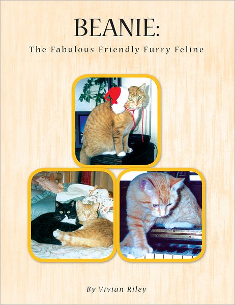 Beanie: The Cat: The Fabulous Friendly Furry Feline