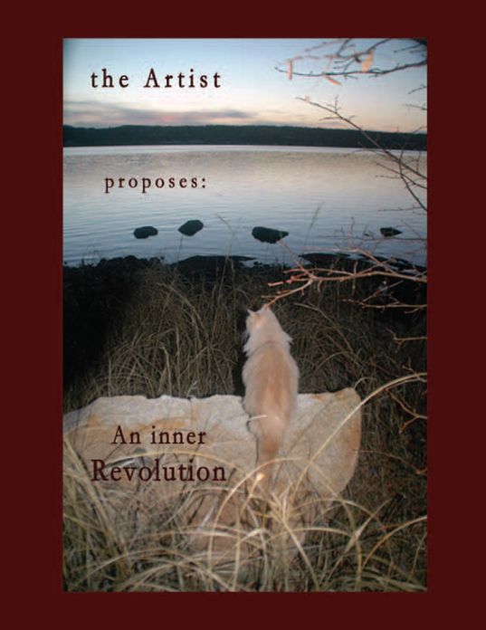 the Artist proposes: An inner Revolution