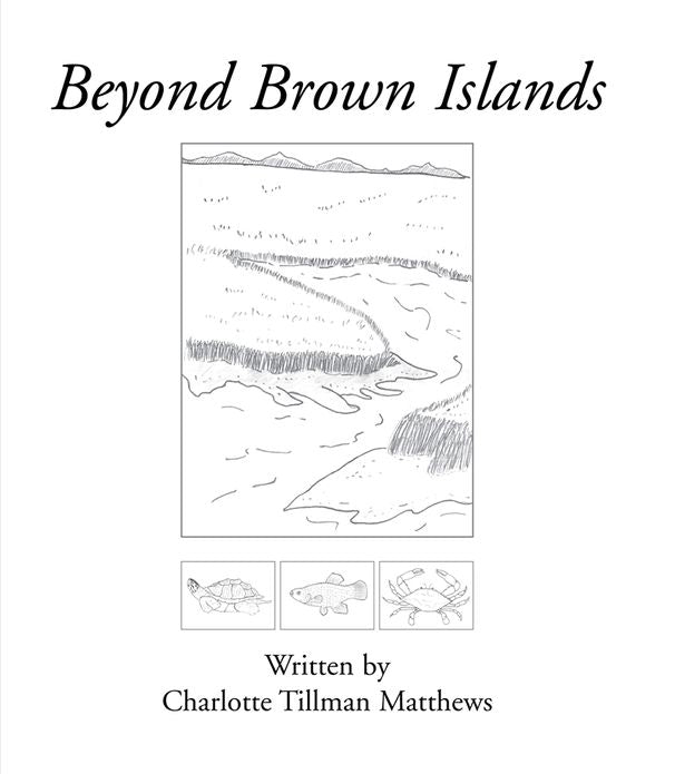 Beyond Brown Islands