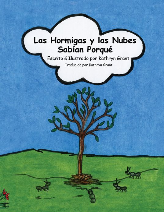 Las Hormigas y las Nubes Sabian Porque