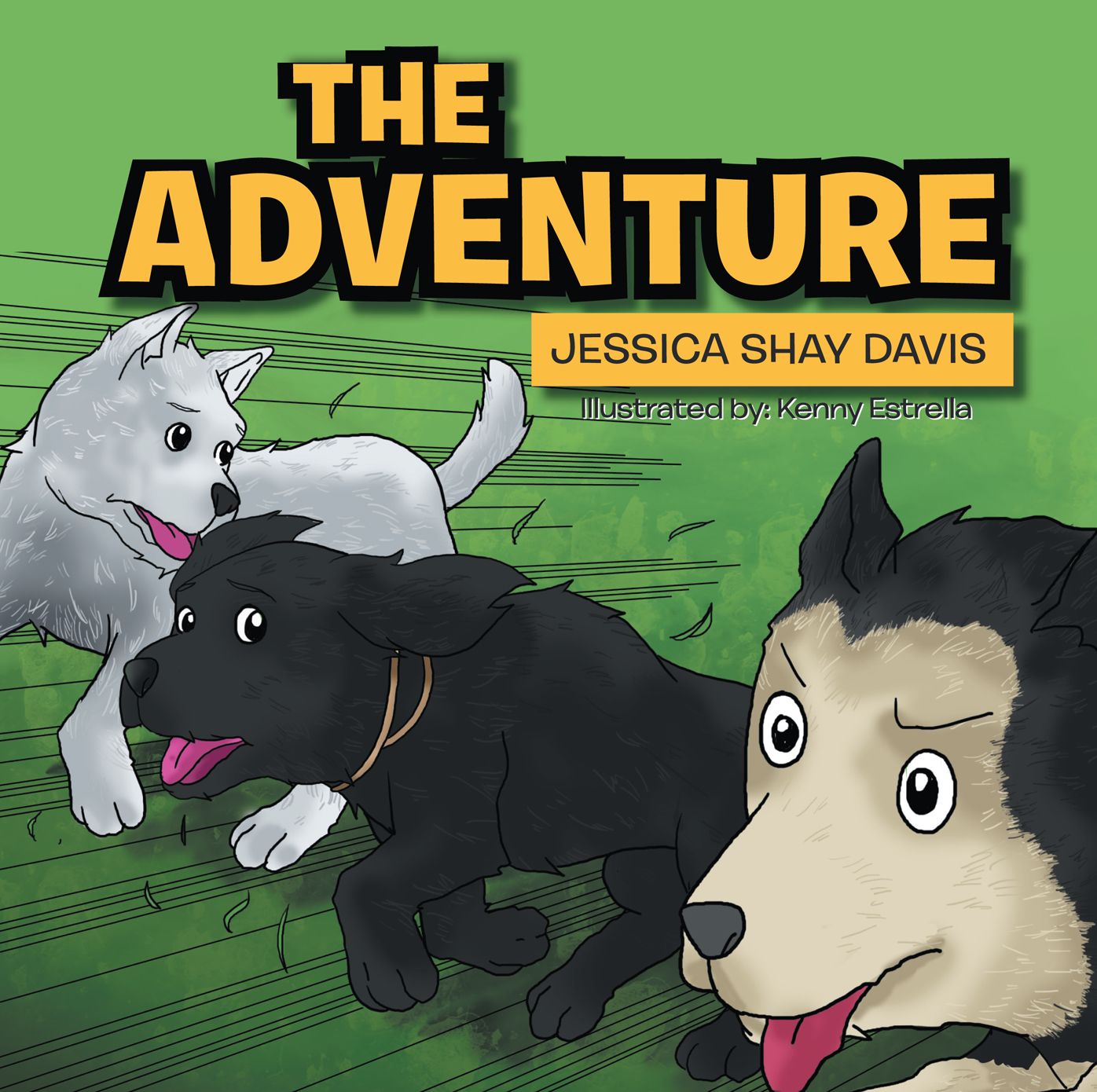 THE ADVENTURE
