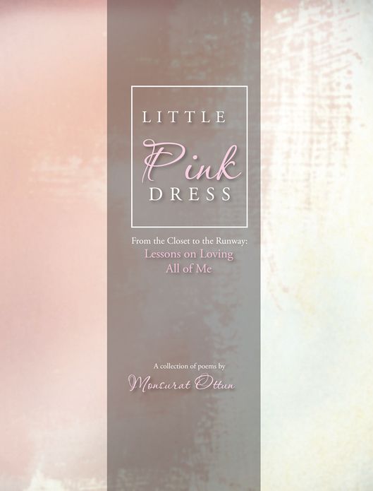 Little Pink Dress: From the Closet to the Runway: Lessons on Loving All of Me