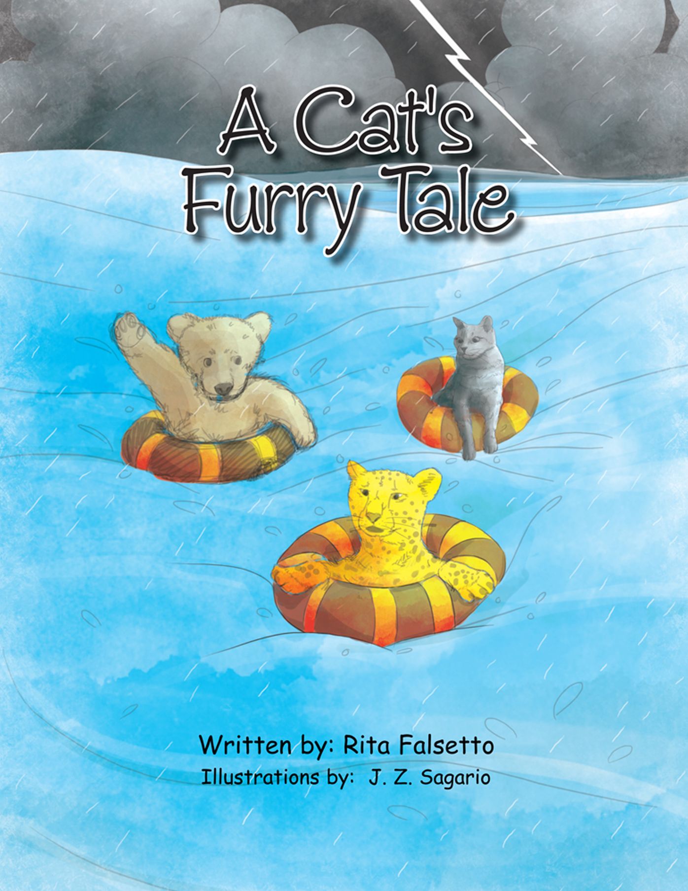 A Cat's Furry Tale: The adventure of a lost cat, a special woman & some amazing friends