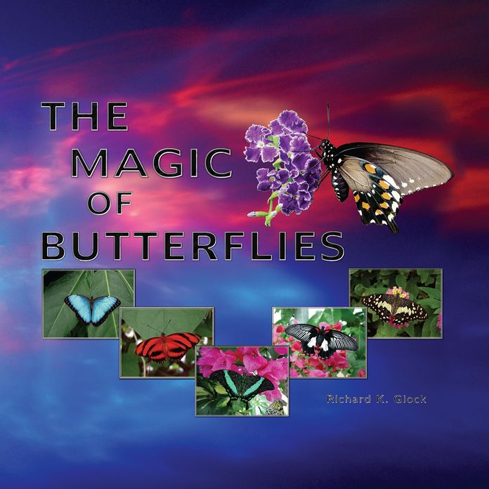 The Magic of Butterflies