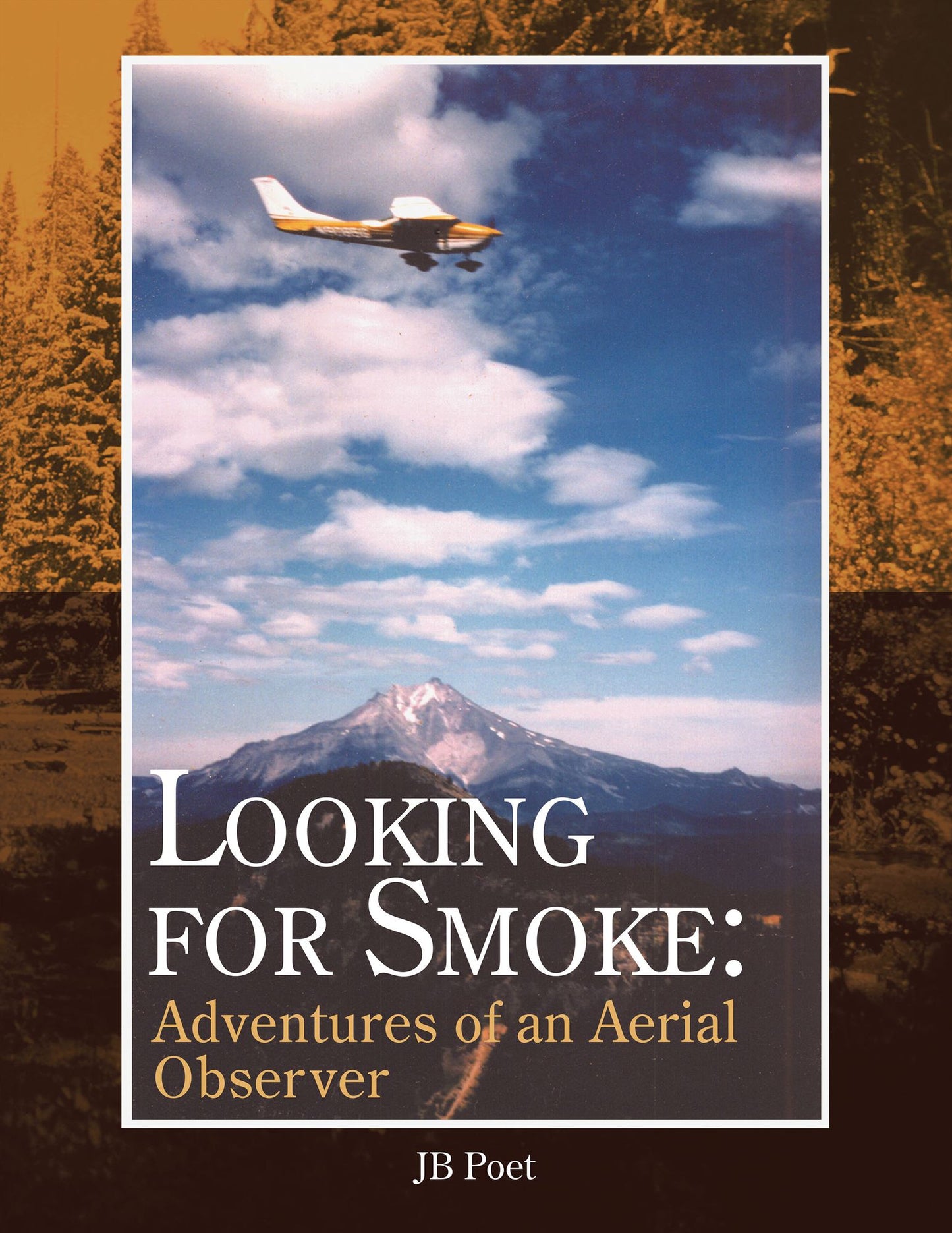 Looking For Smoke: Adventures of an Aerial Observer: Adventures of an Aerial Observer