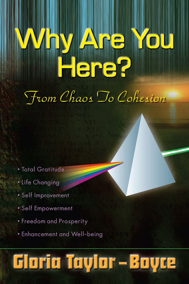 Why Are You Here?: From Chaos To Cohesion