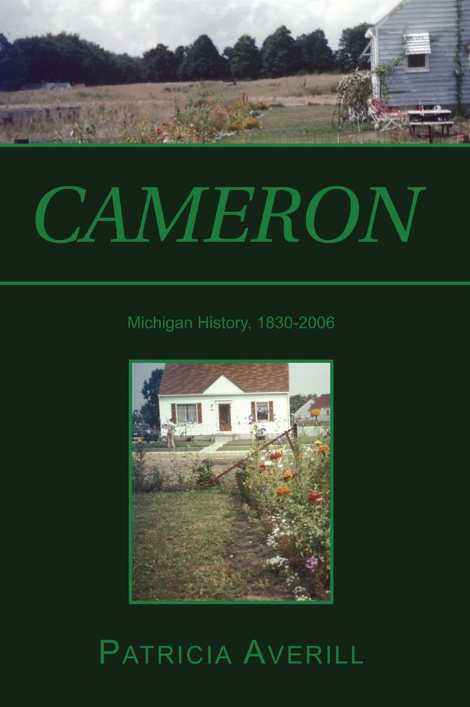 Cameron: Cameron: Family, Technology and Religion in a Rust Belt Town as Seen by Averills, Nasons, McCormicks and Others Who Passed Through.