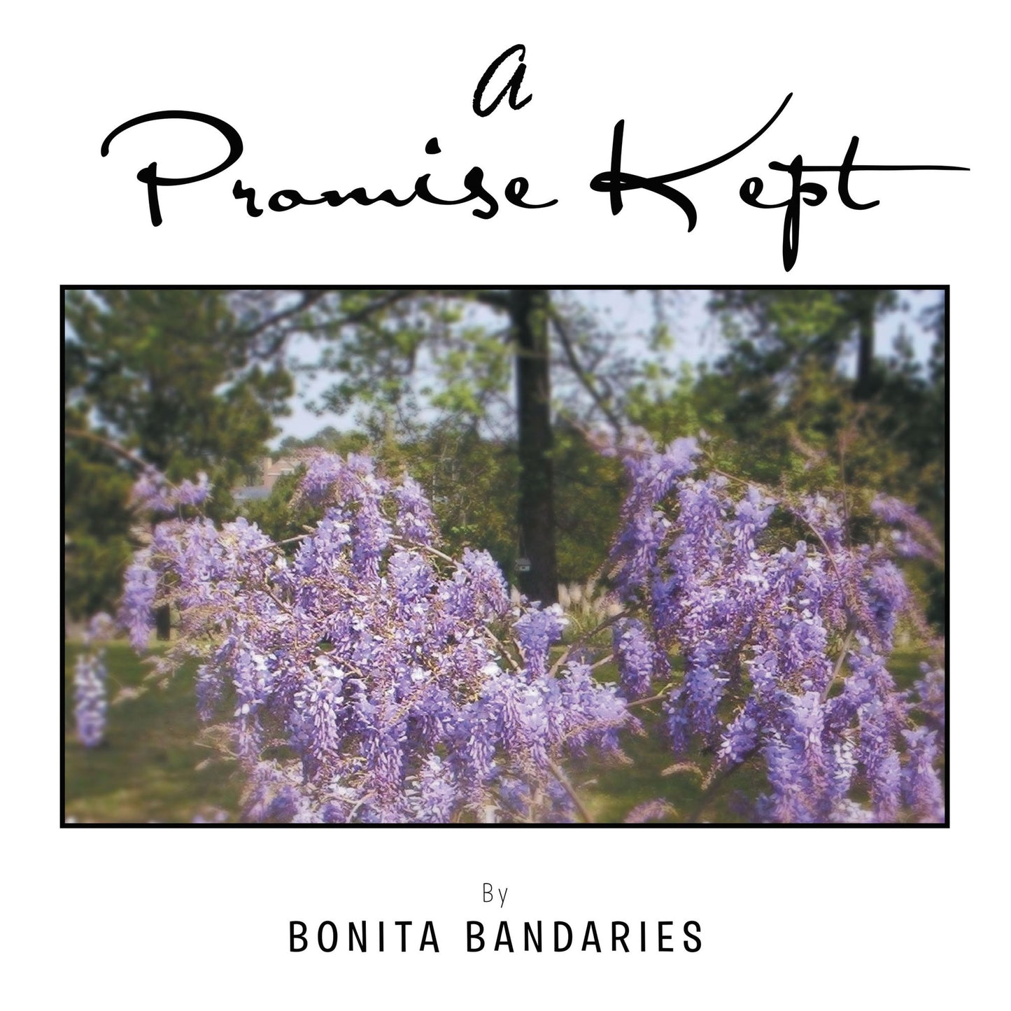 A Promise Kept