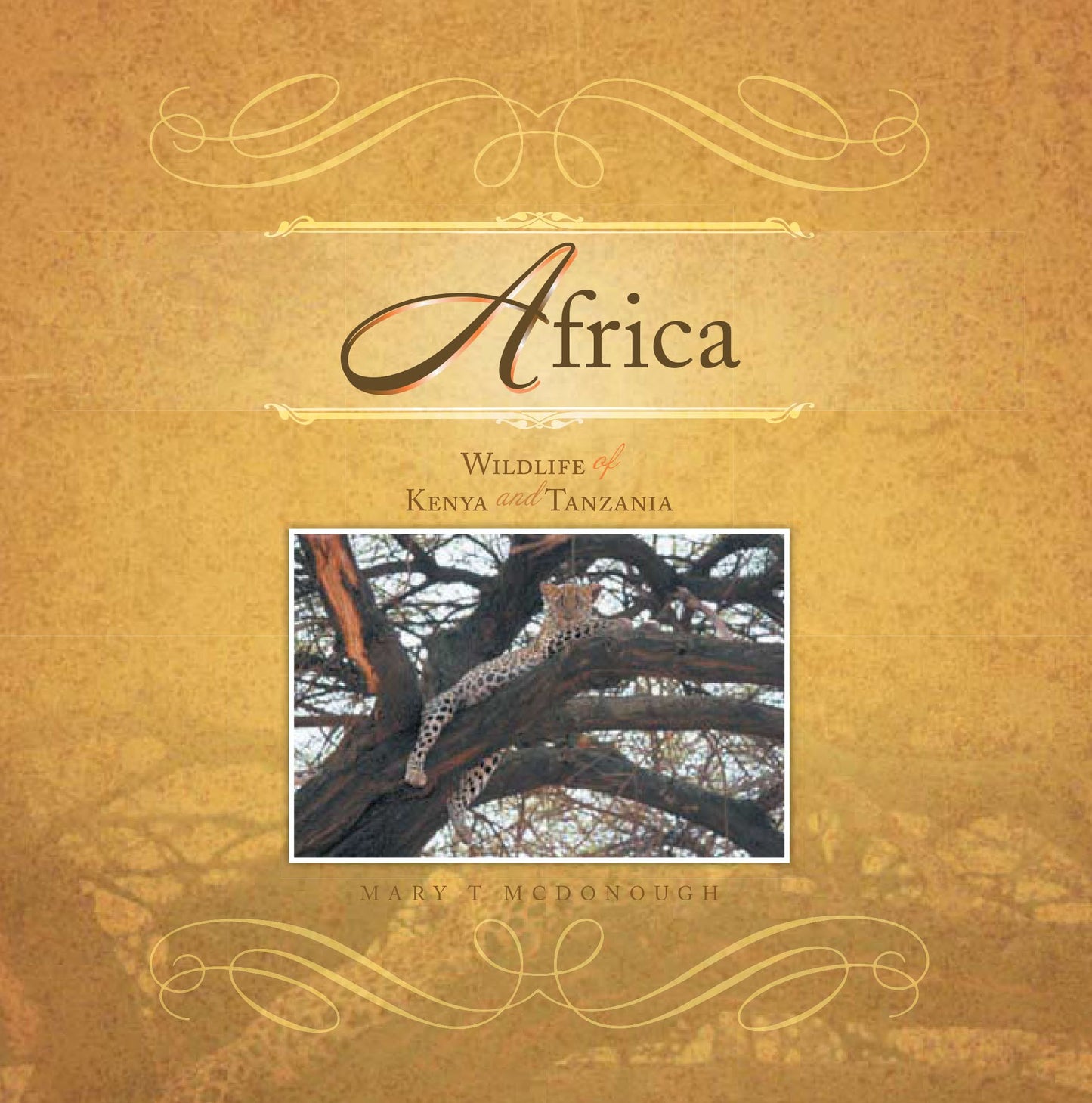 Africa: Wildlife of Kenya and Tanzania