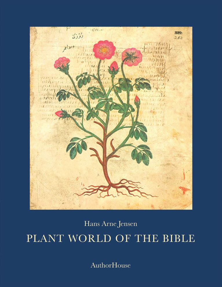 PLANT WORLD OF THE BIBLE: -