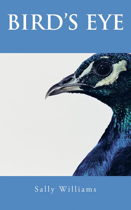 BIRD'S EYE