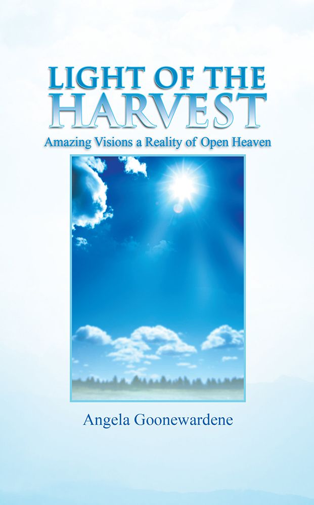 LIGHT OF THE HARVEST: Amazing Visions a Reality of Open Heaven