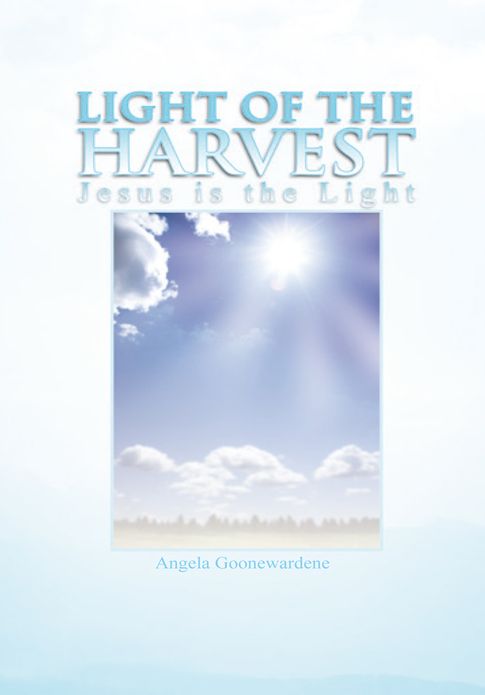 LIGHT OF THE HARVEST: Amazing Visions a Reality of Open Heaven