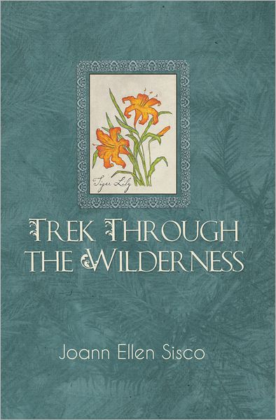 TREK THROUGH THE WILDERNESS: 3