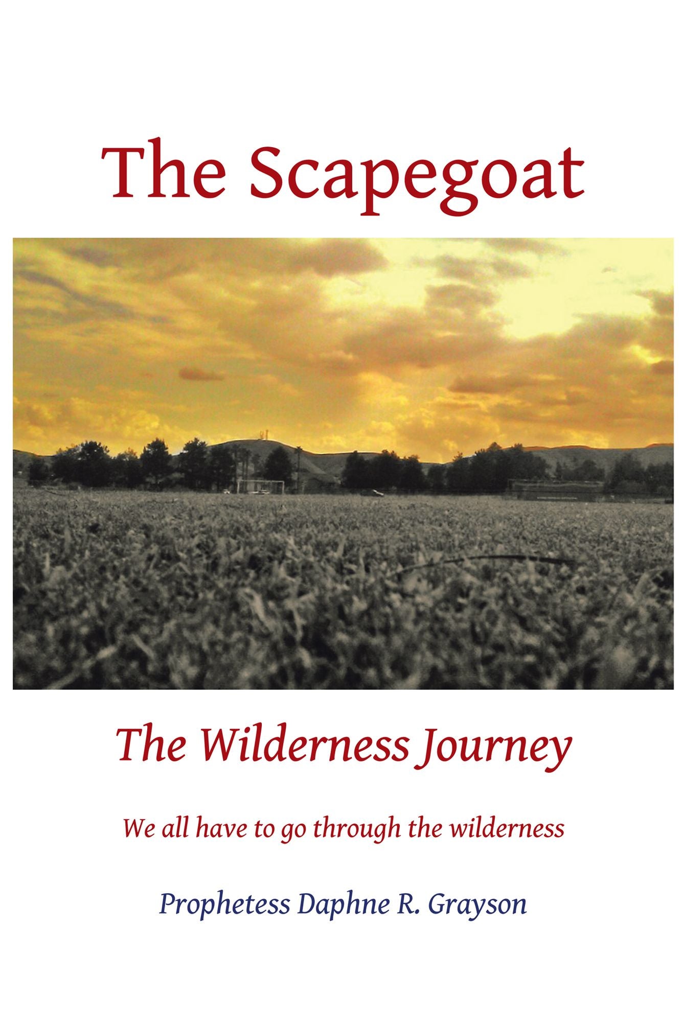The Scapegoat: The Wilderness Journey