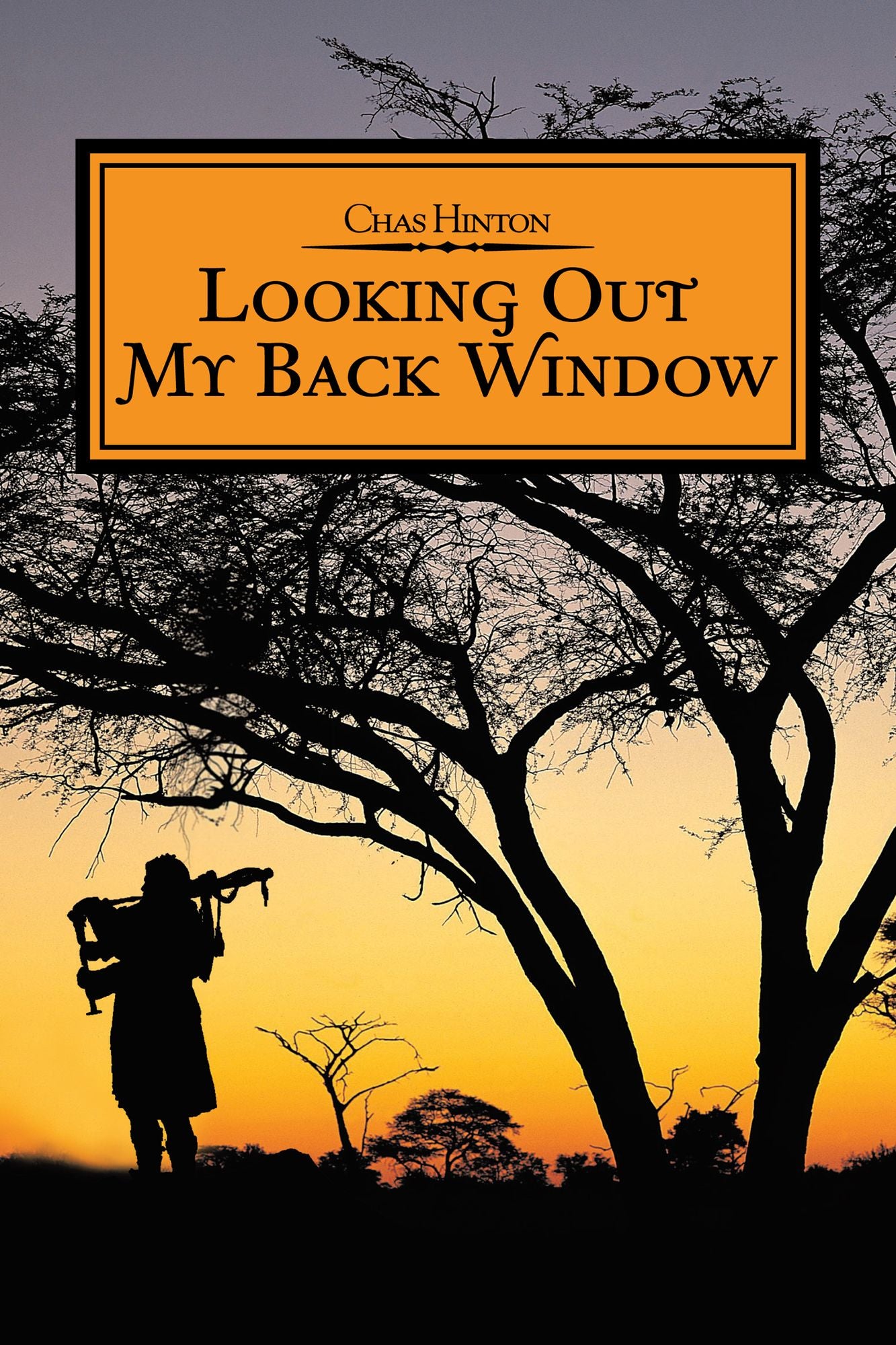Looking Out My Back Window