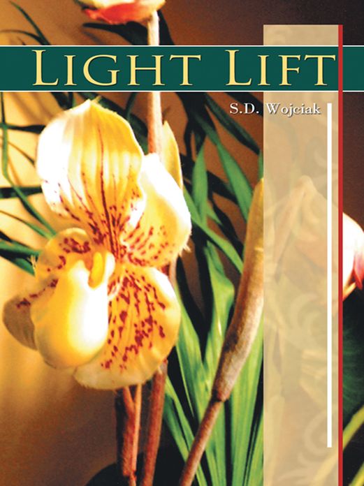 Light Lift