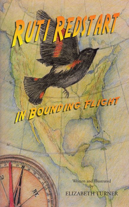 Ruti Redstart: in Bounding Flight