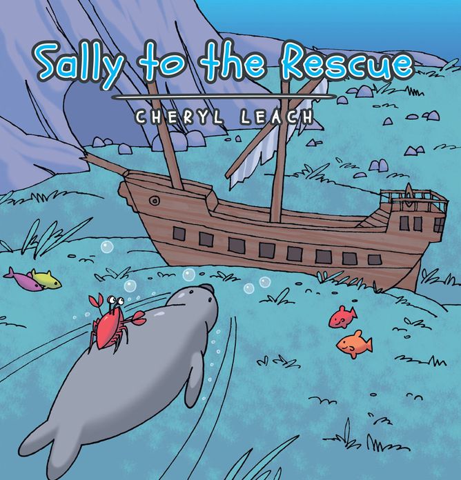 Sally to the Rescue