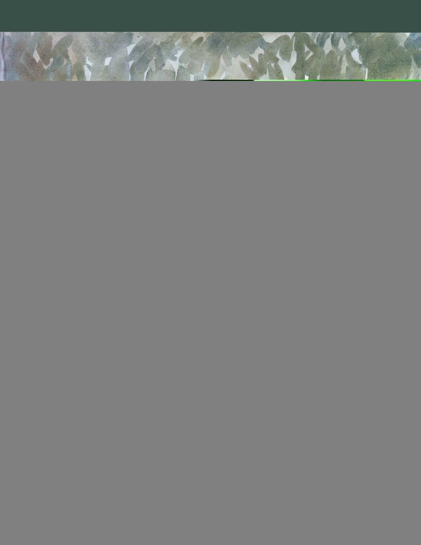 Impressions of the Big Thicket