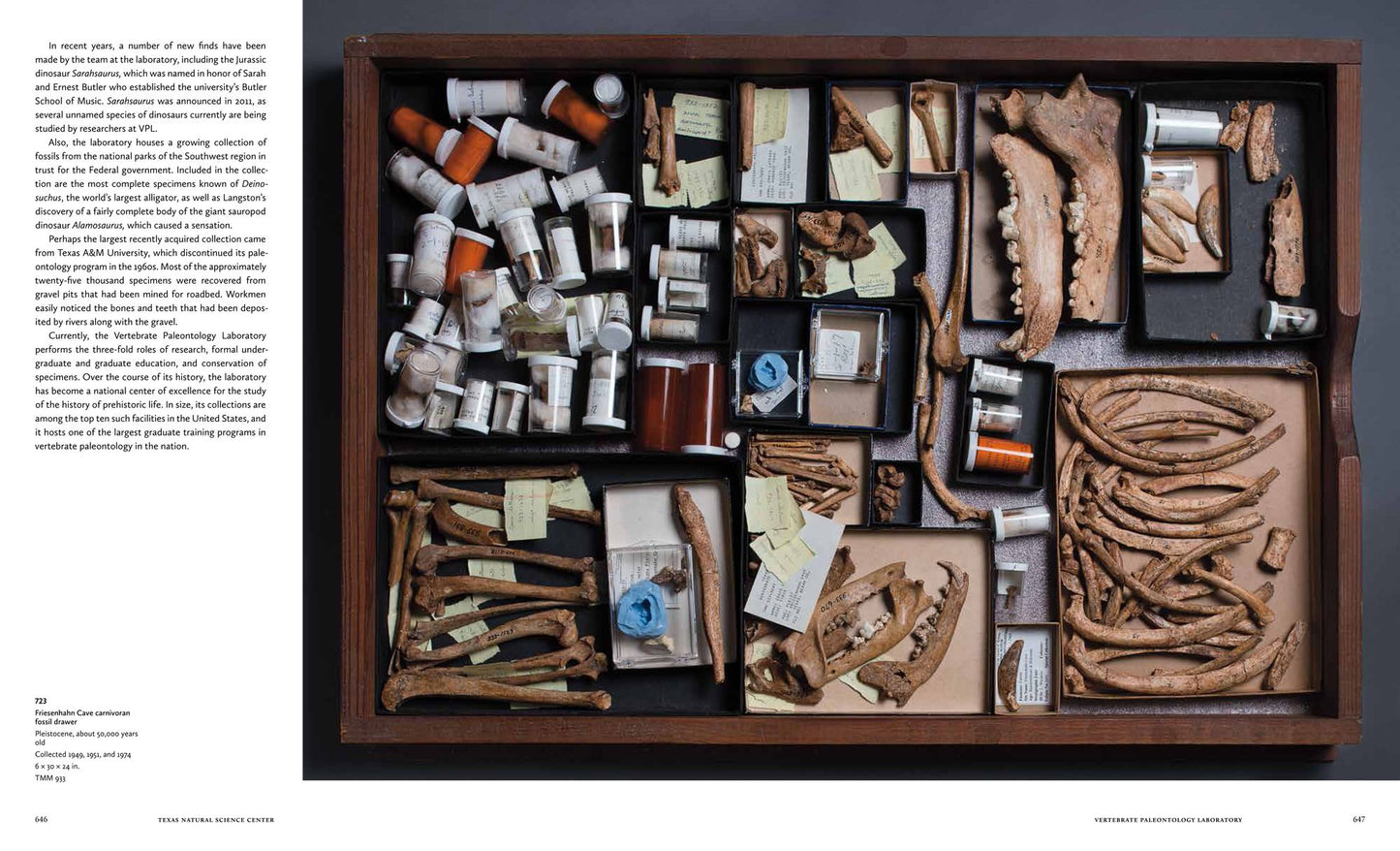 The Collections: The University of Texas at Austin