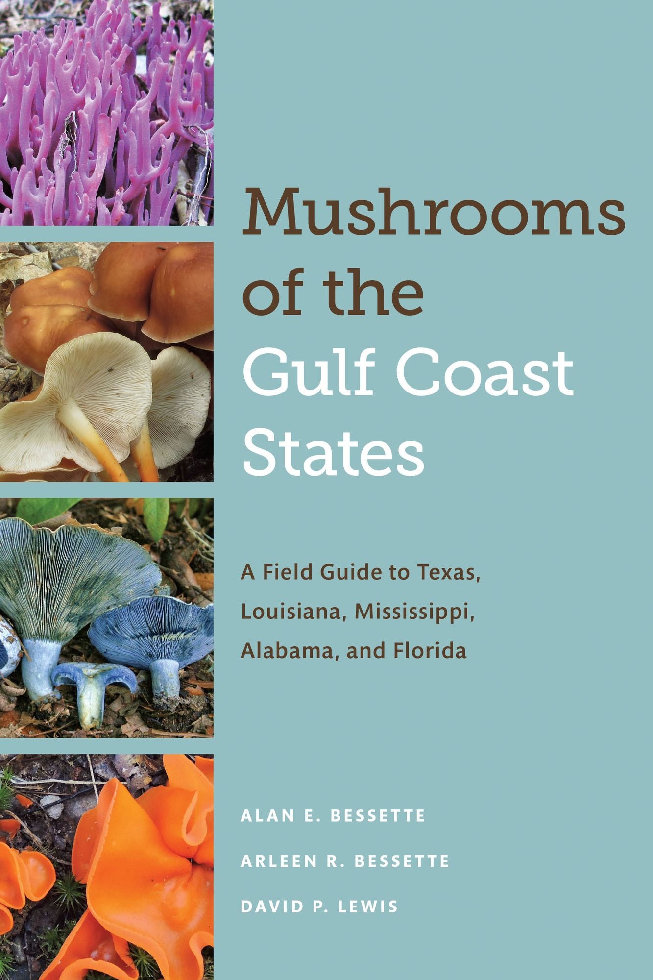 Mushrooms of the Gulf Coast States: A Field Guide to Texas, Louisiana, Mississippi, Alabama, and Florida