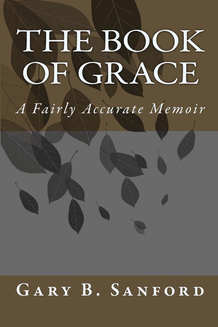 The Book of Grace: A Fairly Accurate Memoir