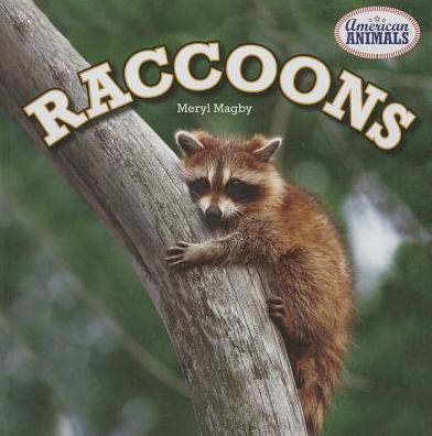 Raccoons