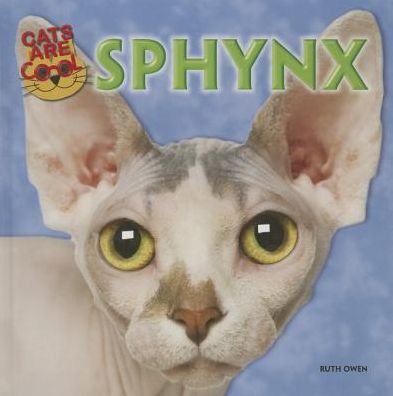 Sphynx