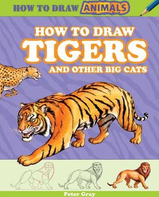 How to Draw Tigers and Other Big Cats