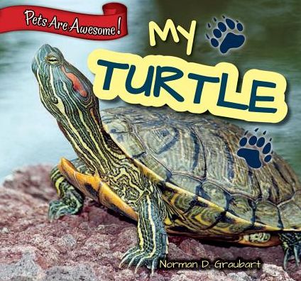 My Turtle