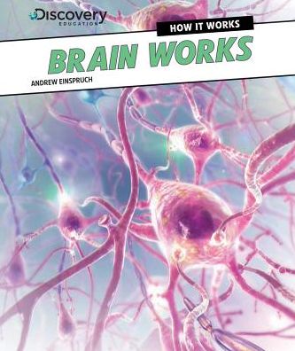 Brain Works