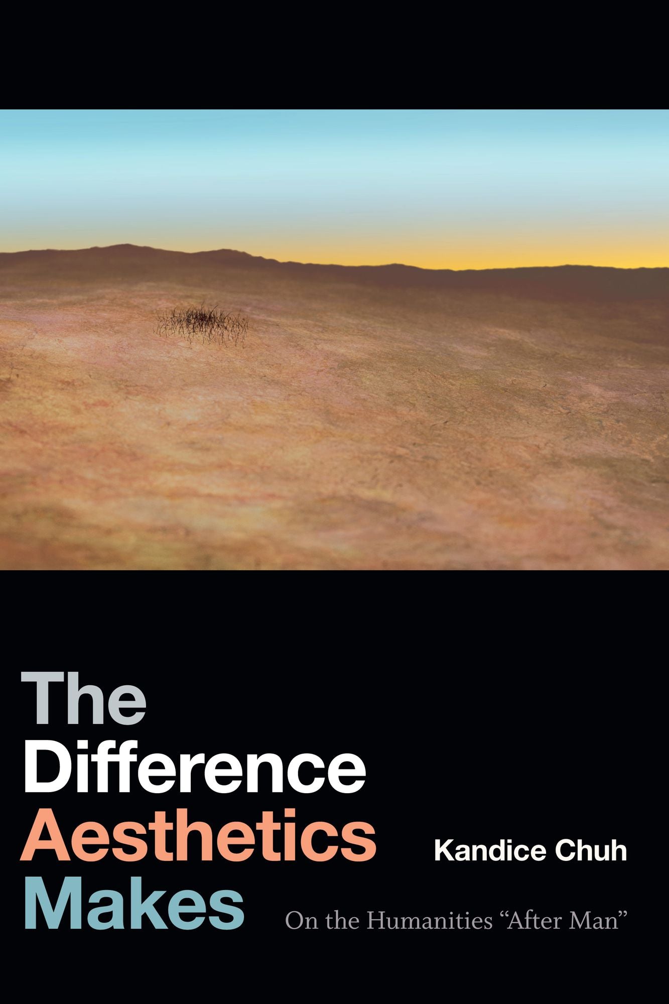 The Difference Aesthetics Makes: On the Humanities "after Man"