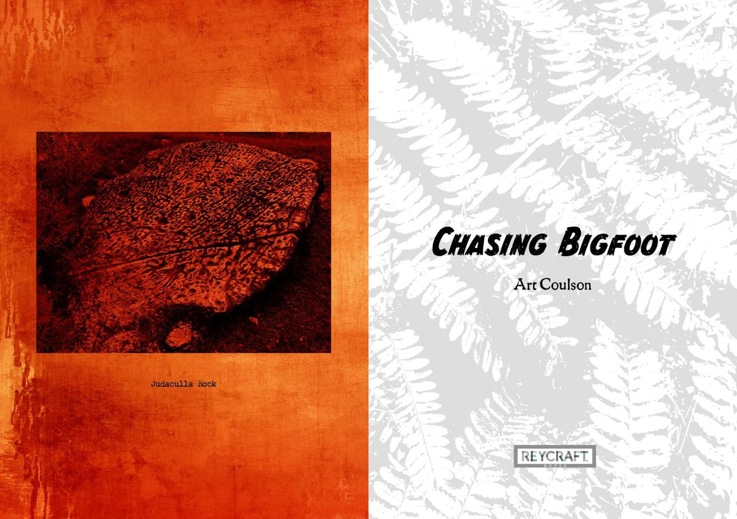 Chasing Bigfoot