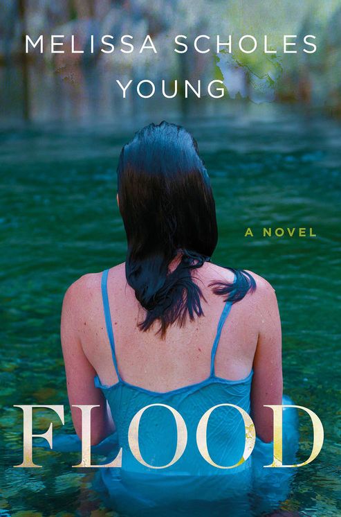 Flood: A Novel