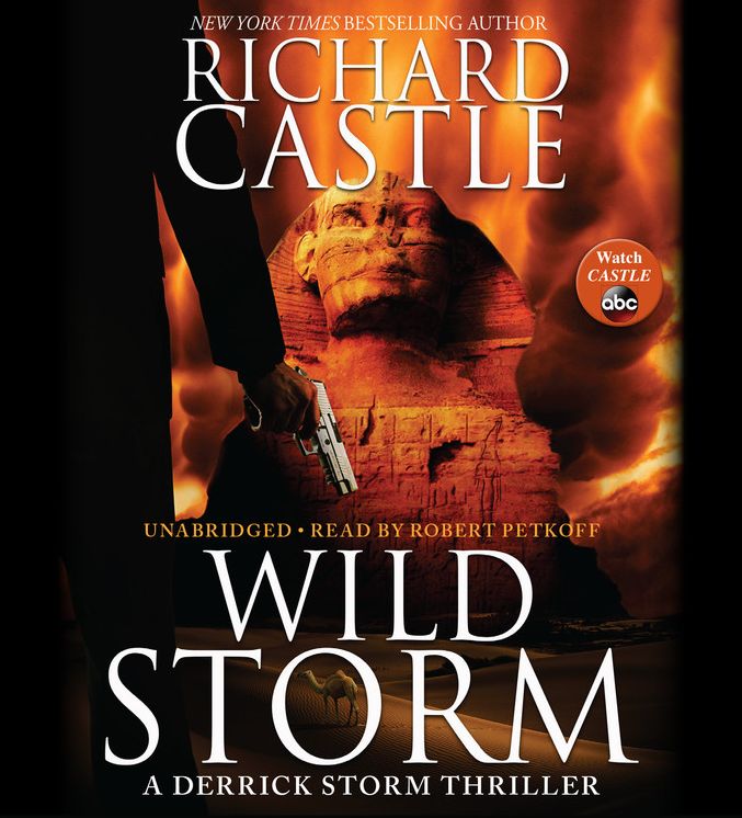 Wild Storm (Derrick Storm Series #2)