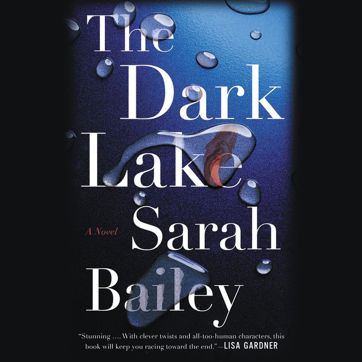 The Dark Lake : Library Edition