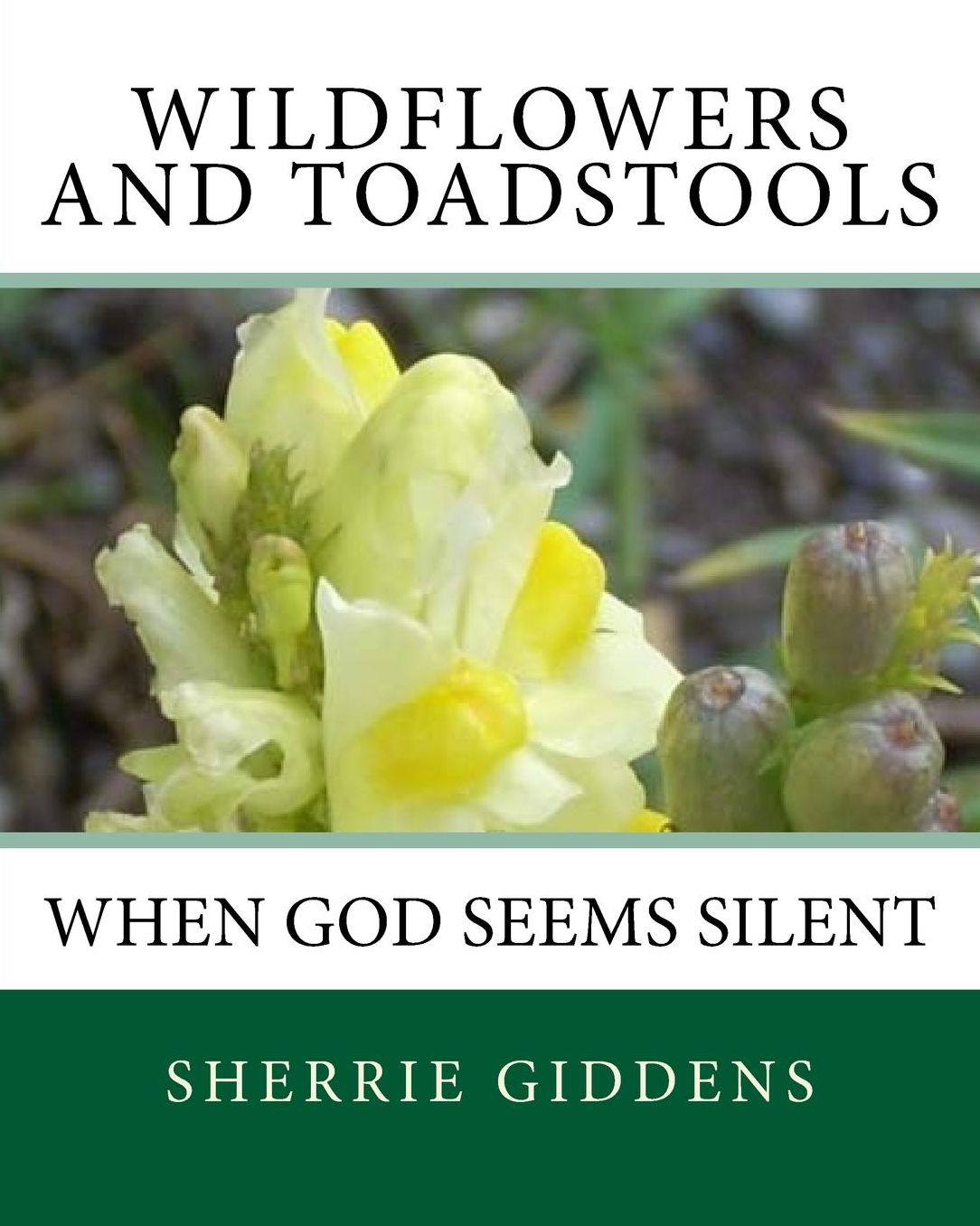 Wildflowers and Toadstools: When God Seems Silent