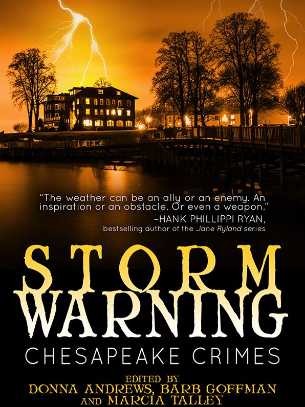 Chesapeake Crimes: Storm Warning
