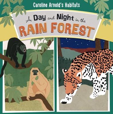 A Day and Night in the Rain Forest